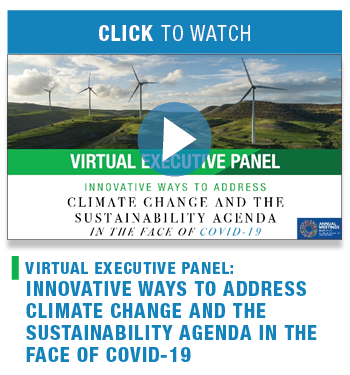 Innovative Ways to Address Climate Change and the Sustainability Agenda in the Face of COVID-19